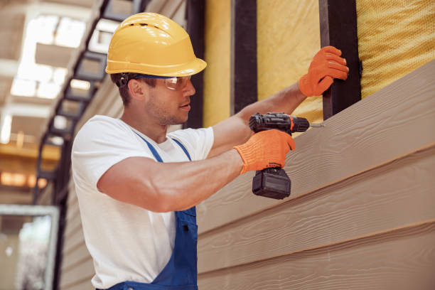 Best Vinyl Siding Installation  in Sun Lakes, AZ